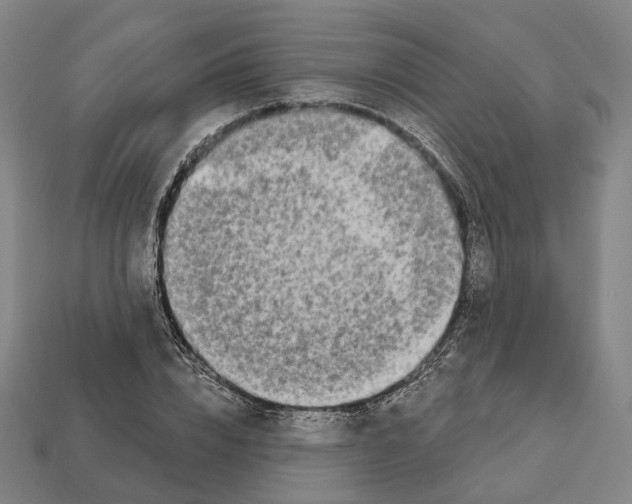 X0000112540832200909281057