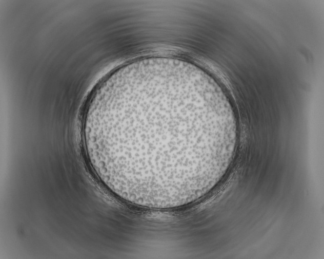 X0000112540835200909281057