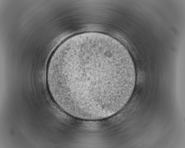 X0000112540836200909281057