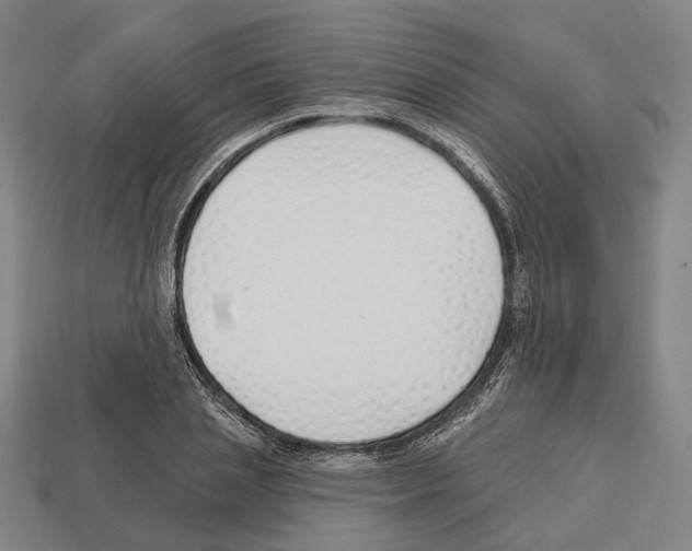 X0000112540837200909281057