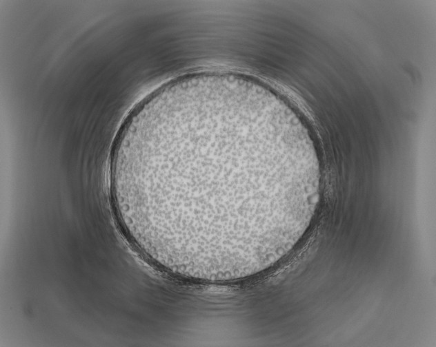 X0000112540839200909281057