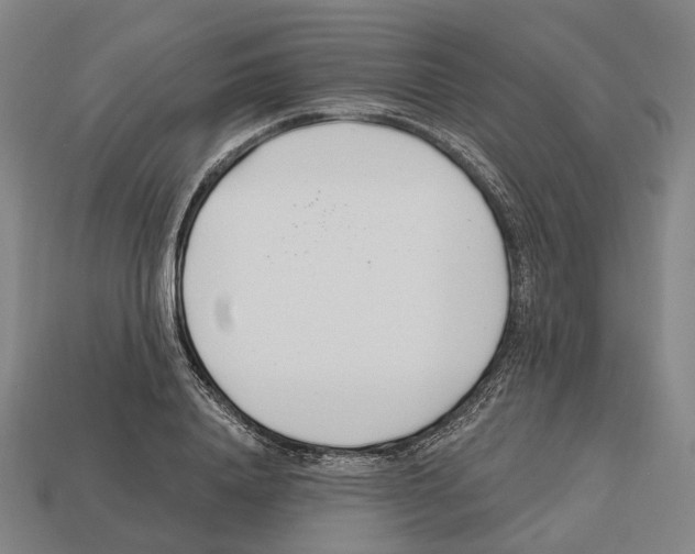 X0000112540840200909281057