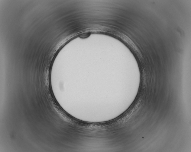 X0000112540842200909281058