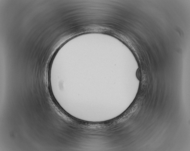 X0000112540843200909281058