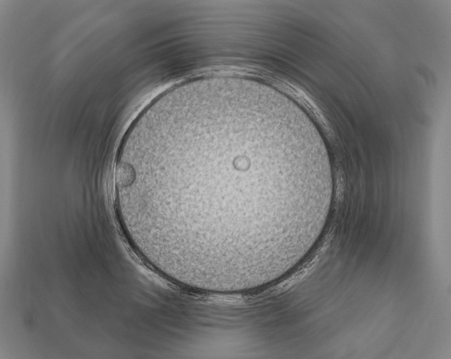 X0000112540844200909281058