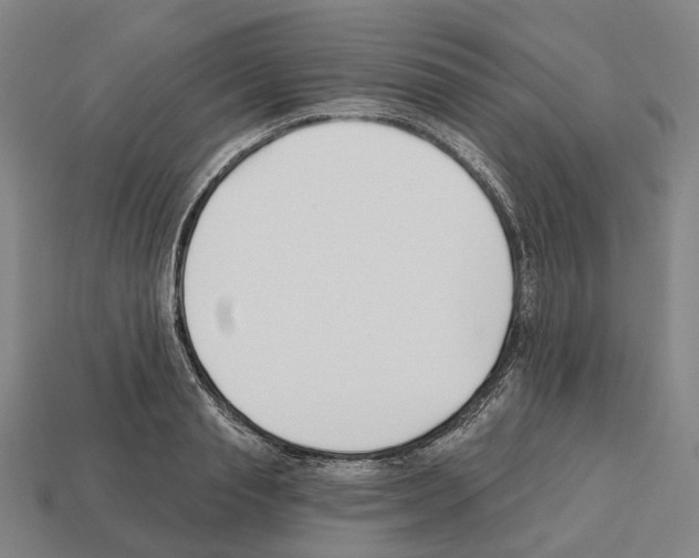 X0000112540845200909281058
