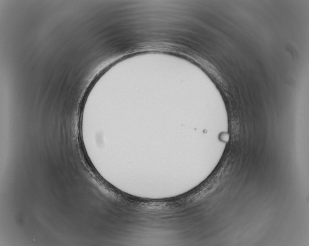 X0000112540846200909281058