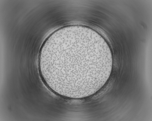 X0000112540847200909281058