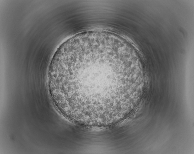 X0000112540848200909281058