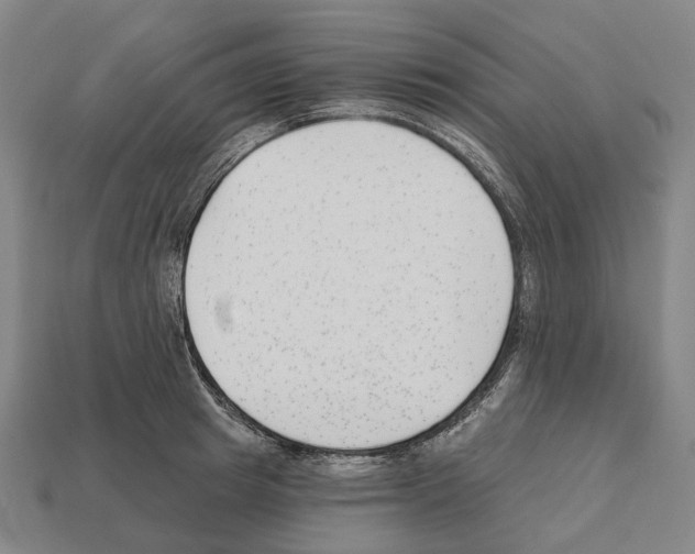 X0000112540849200909281058