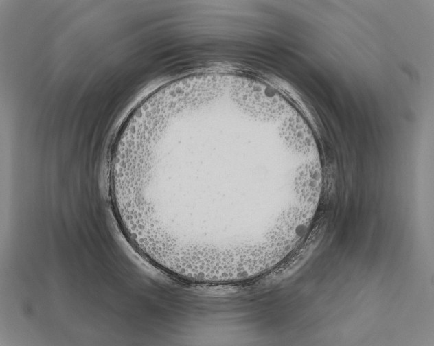 X0000112540851200909281058