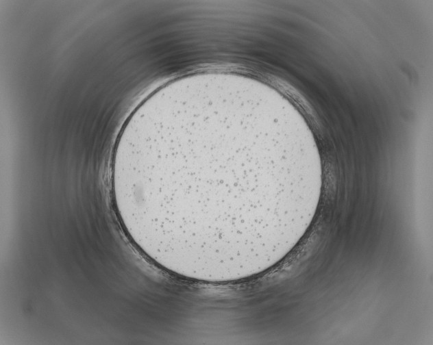 X0000112540852200909281058
