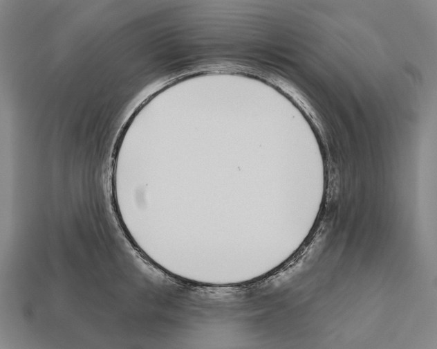 X0000112540853200909281058