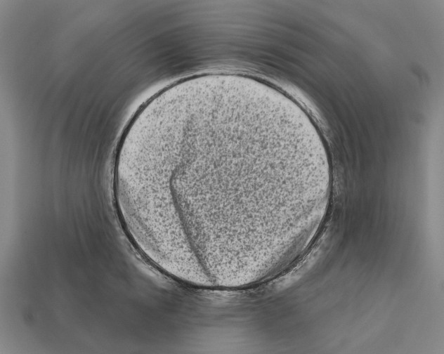 X0000112540854200909281058