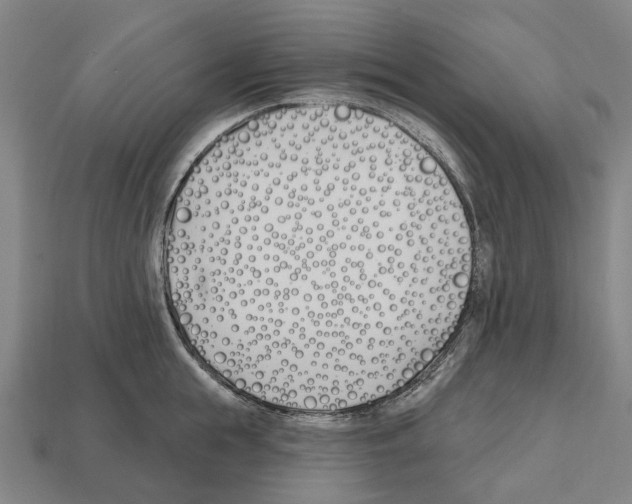 X0000112540855200909281058