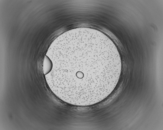X0000112540857200909281058