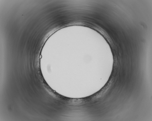 X0000112540858200909281058