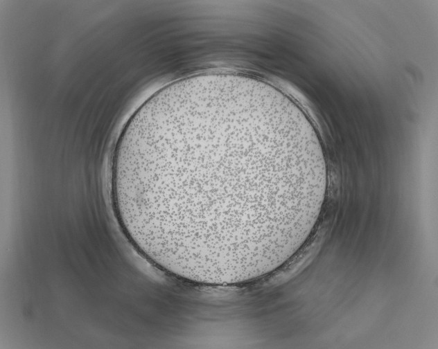 X0000112540859200909281058