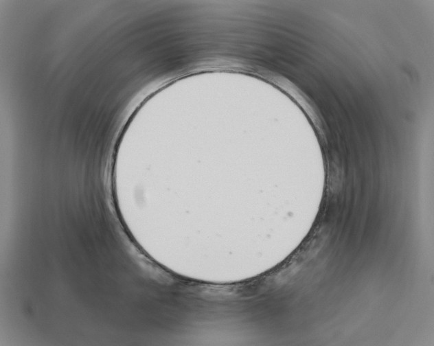 X0000112540861200909281058