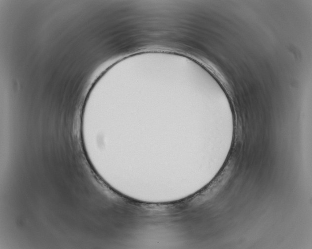 X0000112540862200909281058