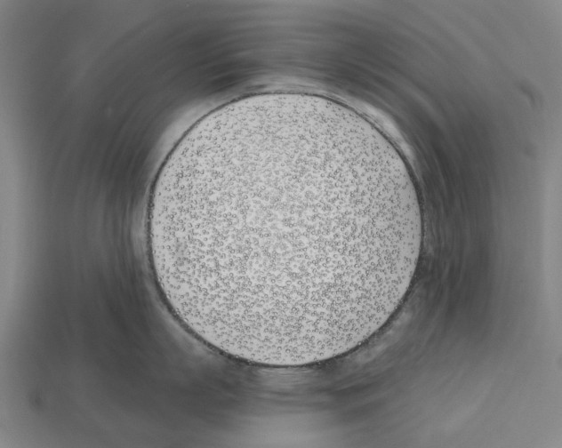 X0000112540863200909281058
