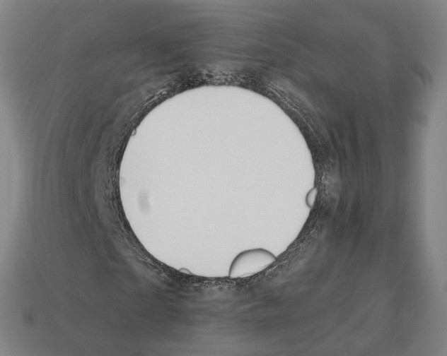X0000112540865200909281057