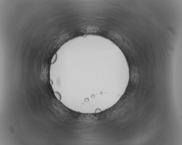 X0000112540866200909281057