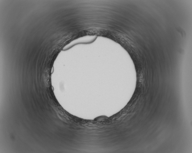 X0000112540868200909281057