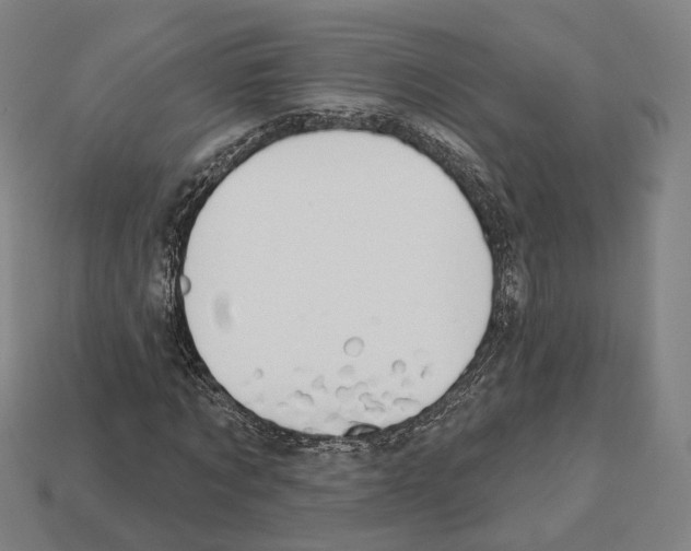 X0000112540869200909281057