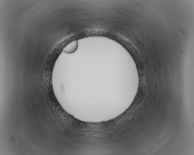 X0000112540870200909281057