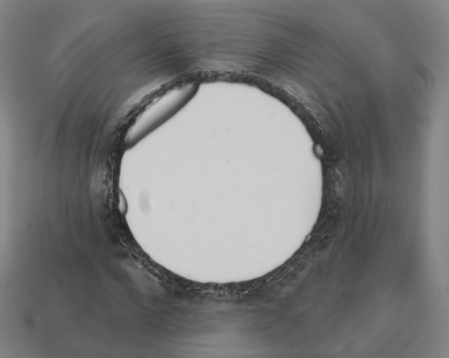 X0000112540872200909281057