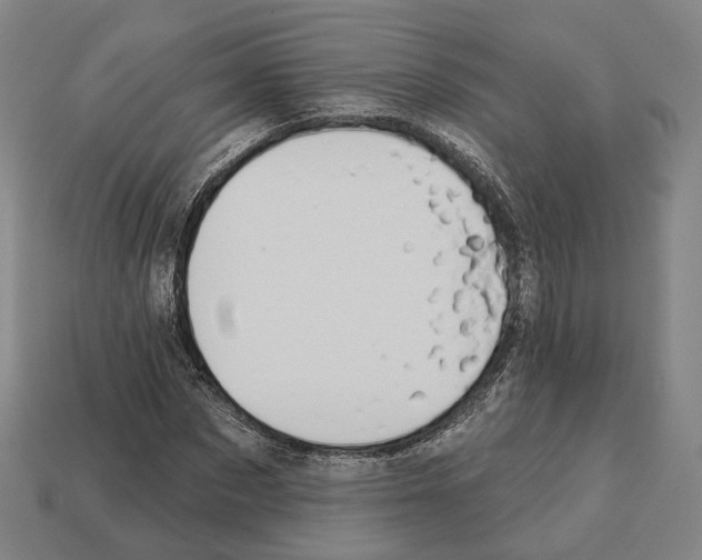 X0000112540873200909281057