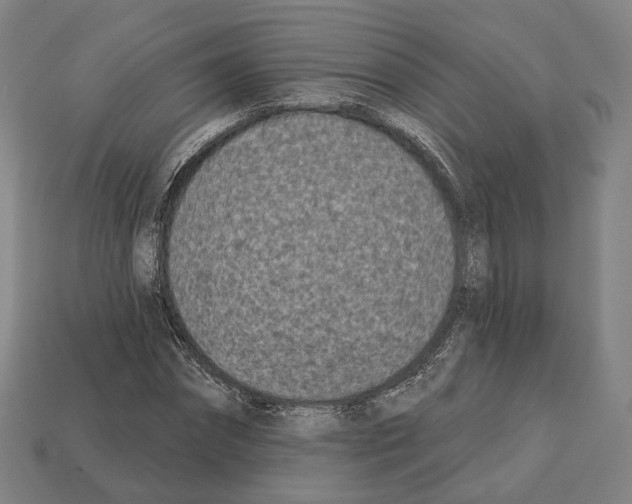 X0000112540874200909281057