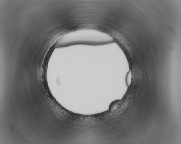 X0000112540876200909281057