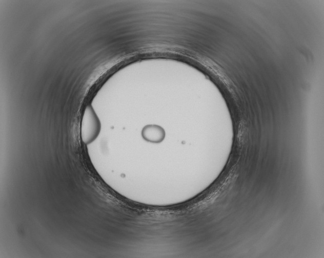 X0000112540877200909281057