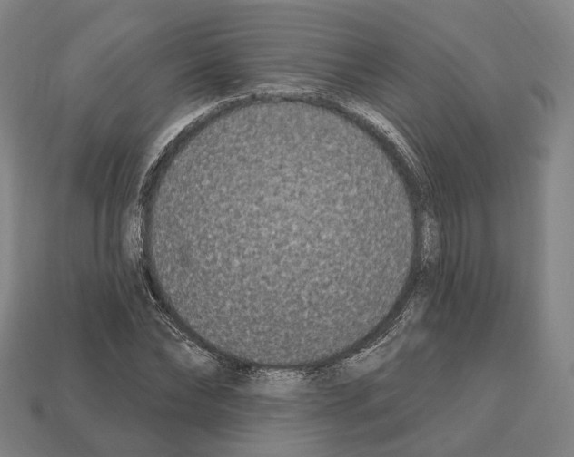 X0000112540878200909281057