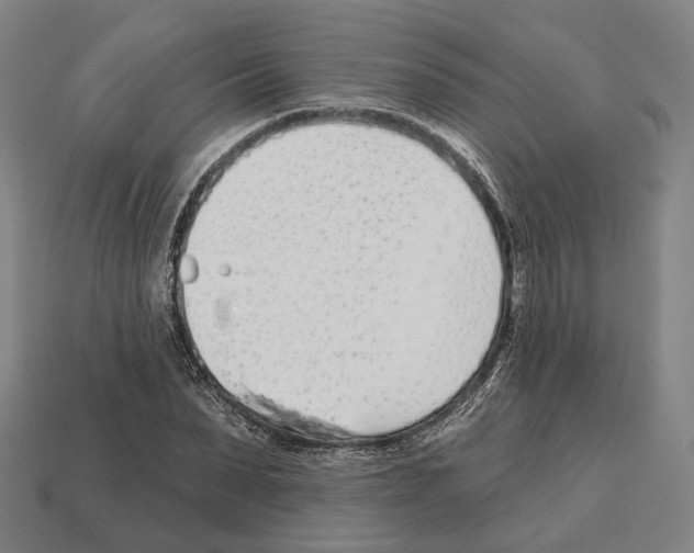 X0000112540879200909281057