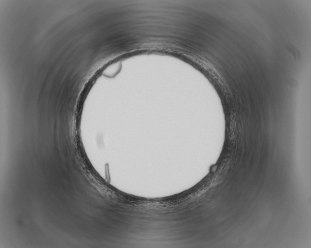 X0000112540880200909281057