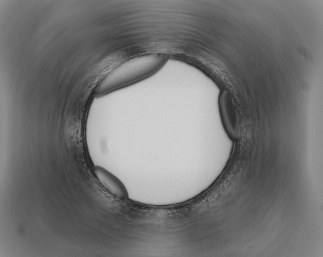 X0000112540881200909281057