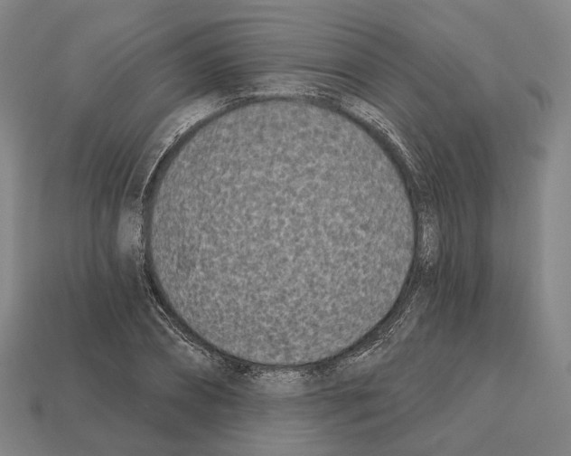X0000112540882200909281057