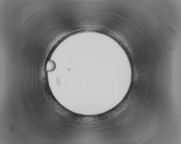 X0000112540883200909281057
