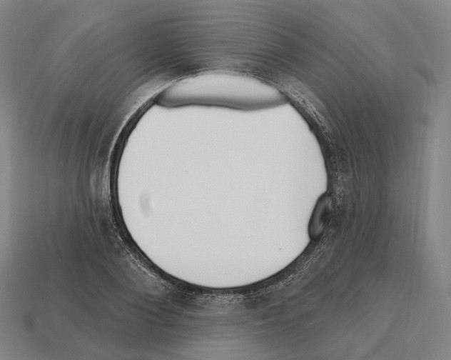 X0000112540884200909281057