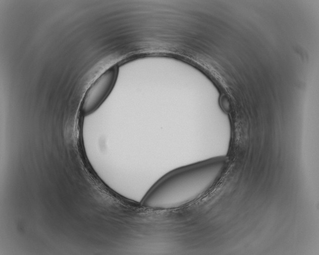 X0000112540885200909281057