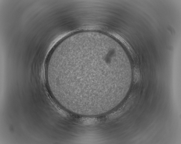 X0000112540886200909281057