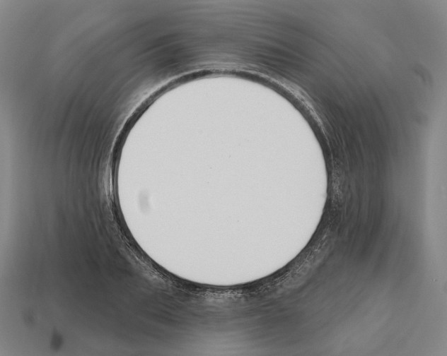 X0000112540887200909281057