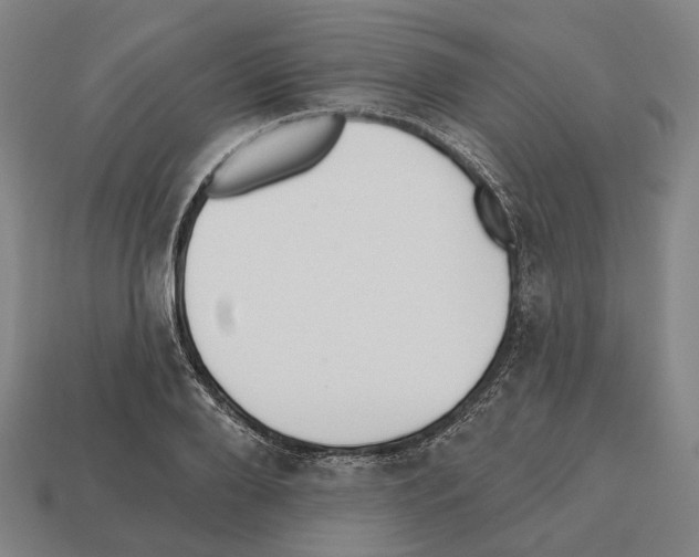 X0000112540888200909281057