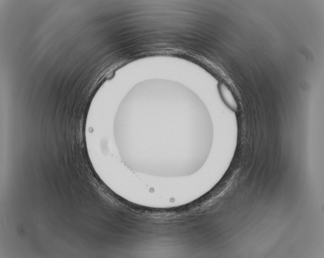X0000112540889200909281057