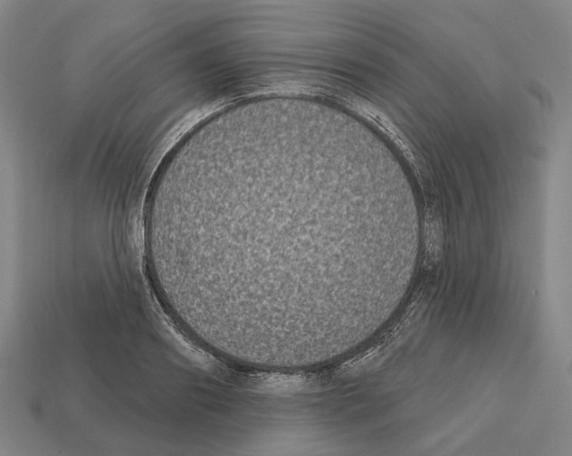 X0000112540890200909281057