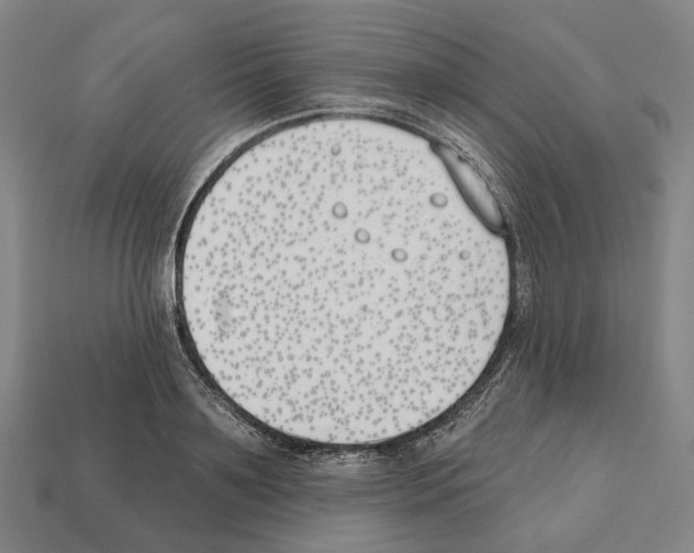 X0000112540891200909281057