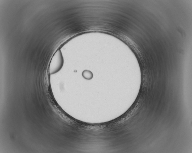 X0000112540892200909281057